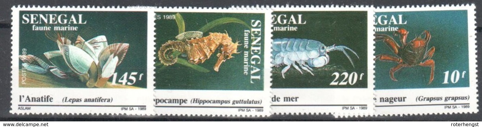 Senegal Mnh ** 7 Euros Sea Fauna - Senegal (1960-...)