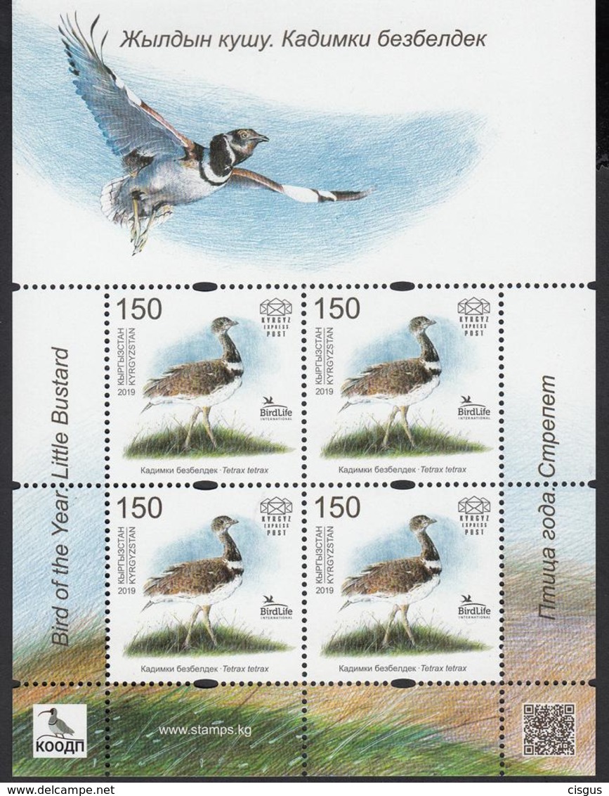 Kirgistan Kyrgyzstan MNH** 2019  Bird Little Busard Sympathis Issue CEPT 2019  Mi 129 KB M - 2019