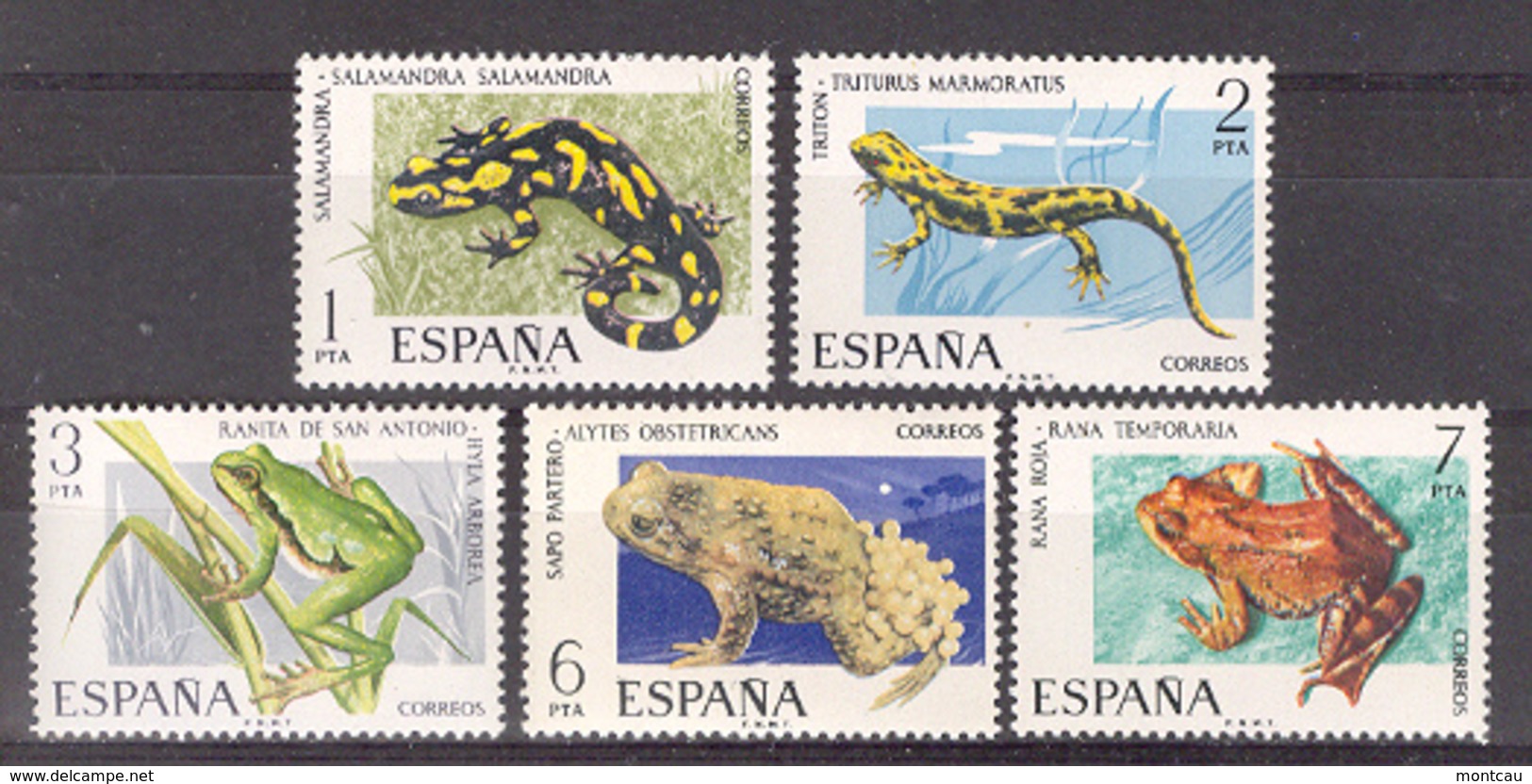 Spain 1975 - Fauna Anfibios Ed 2272-76 (**) - Otros & Sin Clasificación