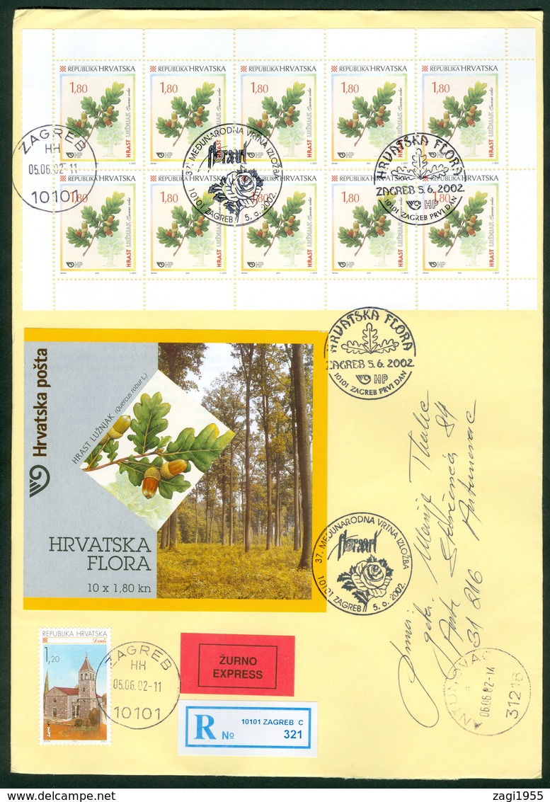 Croatia 2002 FDC Flora Oak Booklet Kind Quercus Robur Floraart Exhibition Zagreb Wood Valuable Letter Cover - Croatia