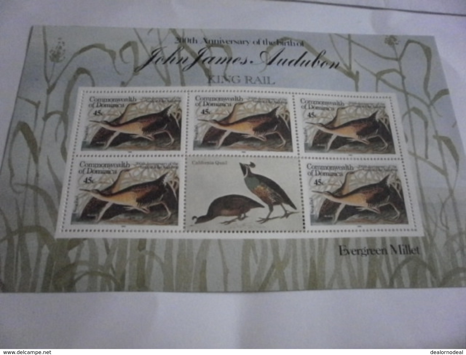 Miniature Sheet Perf 200th Anniversary Audubon Evergreen Millet King Rail - Dominica (1978-...)