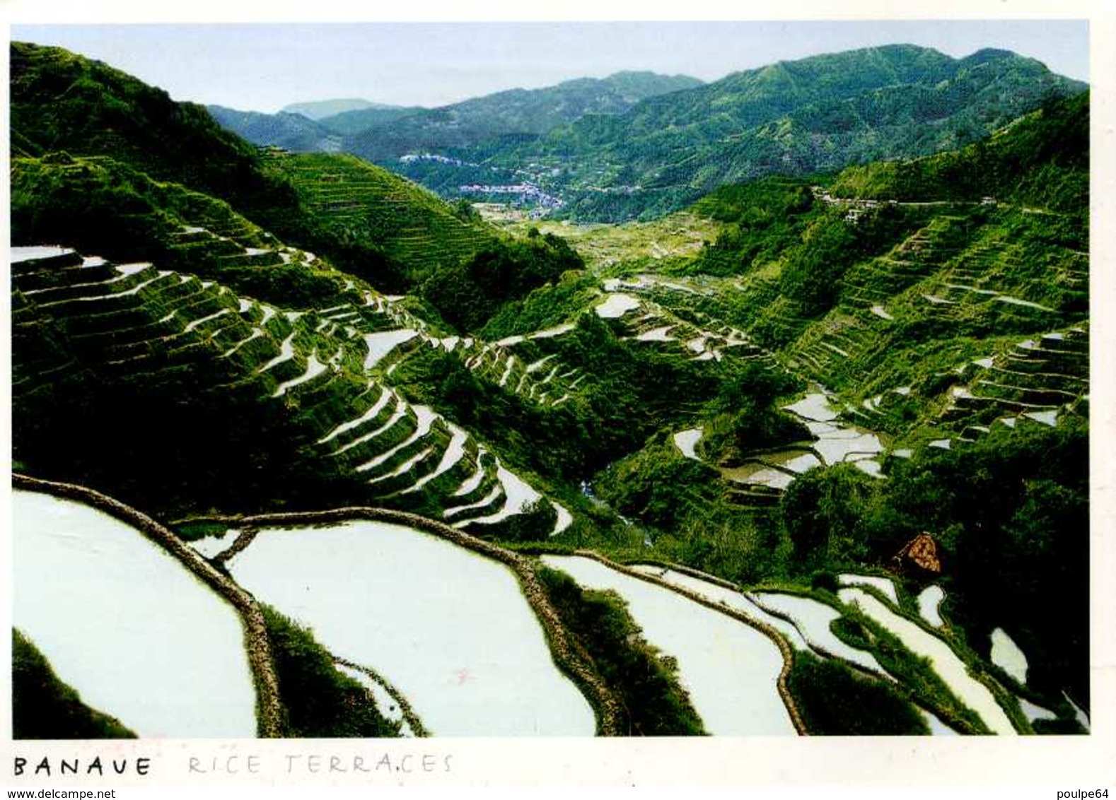 CPM - Banave - Les Jardins En Terraces - Philippines