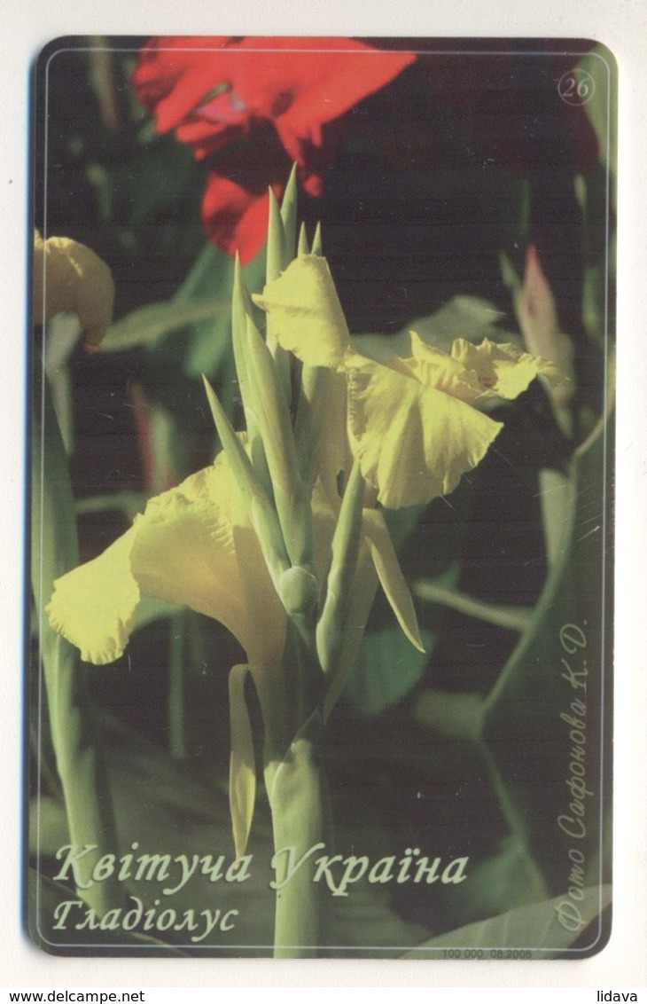 UKRAINE - Blooming Ukraine - Gladiolus - Flower - Phonecard Telecard Chip Card 11200 Units - Bloemen