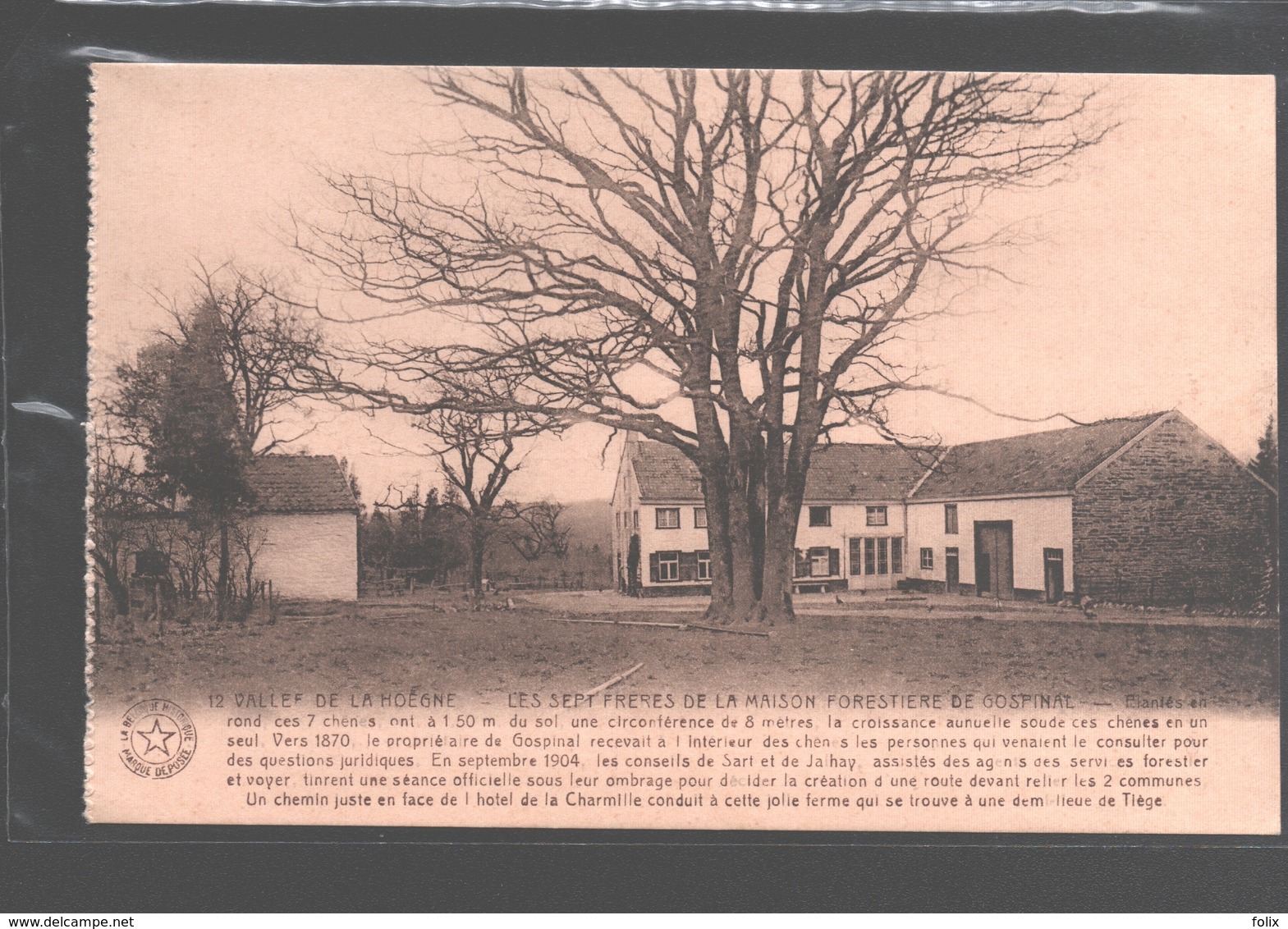 Jalhay - Vallée De La Hoëgne - Les Sept Frères De La Maison Forestière De Gospinal - Jalhay