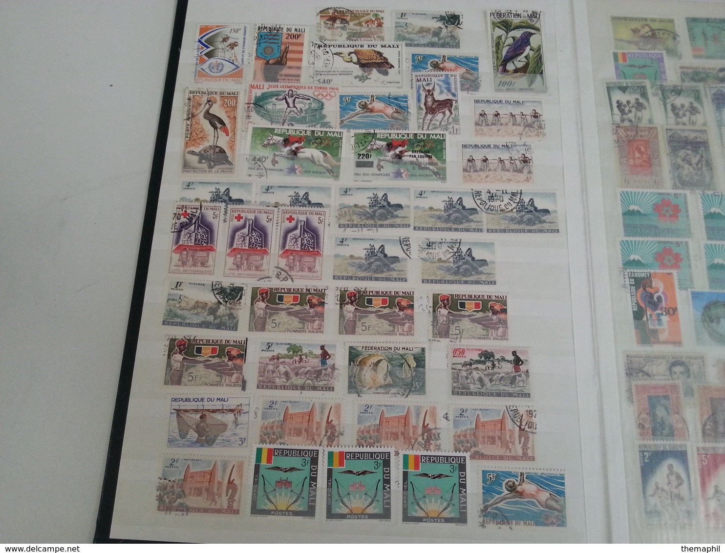 Lot N° 699 ANC. COLONIES FRANCAISE Un Lot De 2 Classeurs Neufs Ou Obl. - Collections (en Albums)