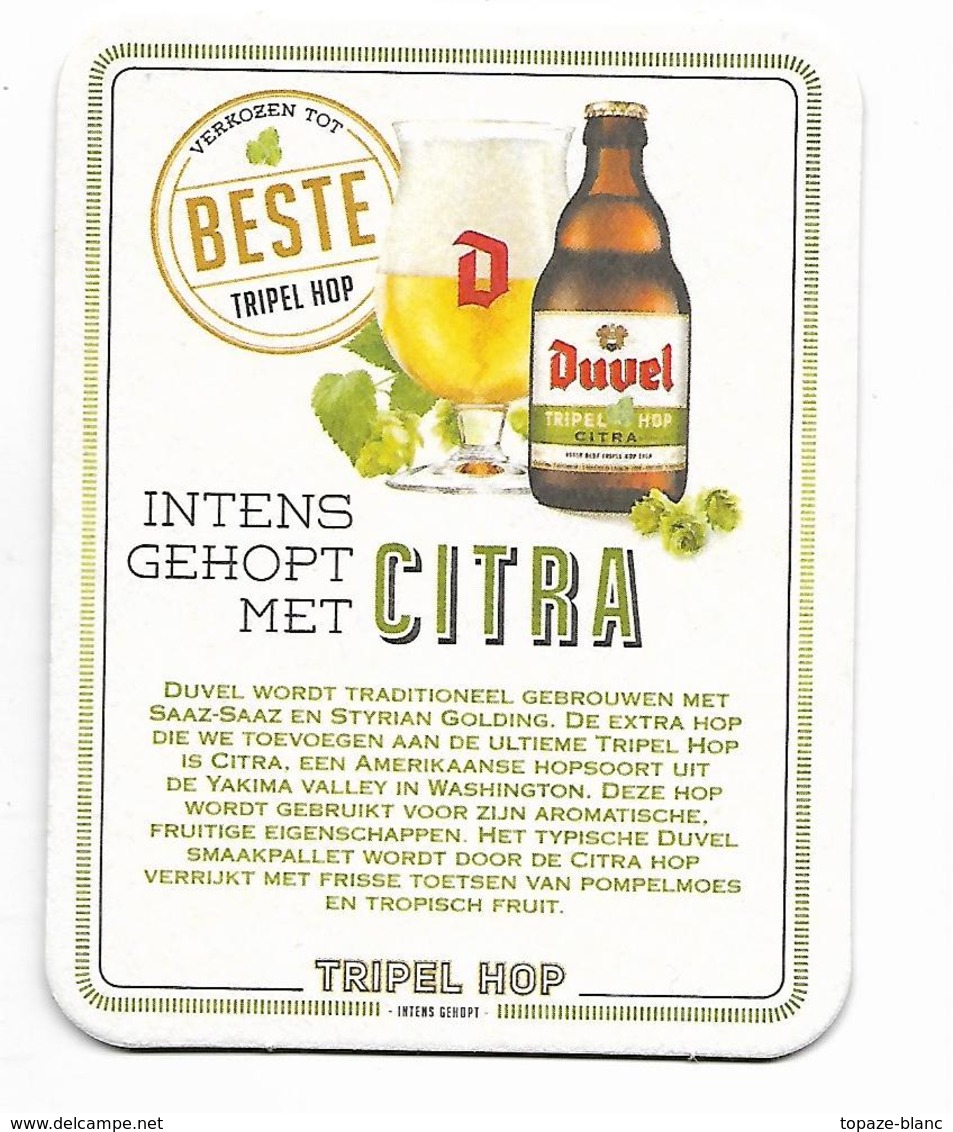 SOUS BOCK / 34  - DUVEL / CITRA - Sous-bocks