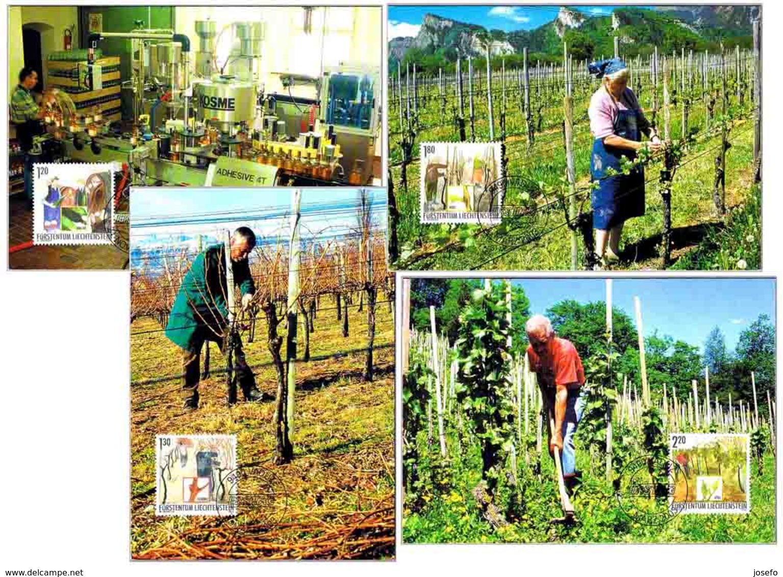 VIÑEDO: 12 MESES DE TRABAJO - VINEYARD: 12 Months Of Works. Set 12 TM/MC. Liechtenstein 2003 - Vinos Y Alcoholes