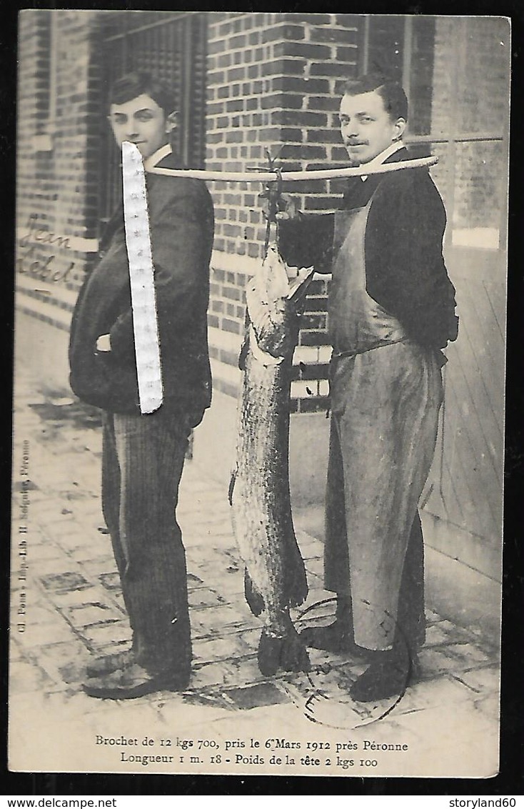 Cpa 8020197 Brochet De 12 Kgs 700 Pris Le 6 Mars 1912 Près Péronne , Voir Dos , Pêche, Pêcheurs - Peronne