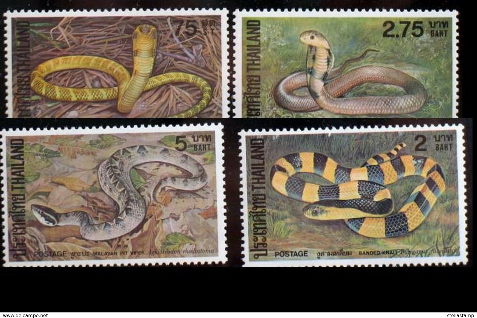 Thailand Stamp 1981 Snakes - Thailand