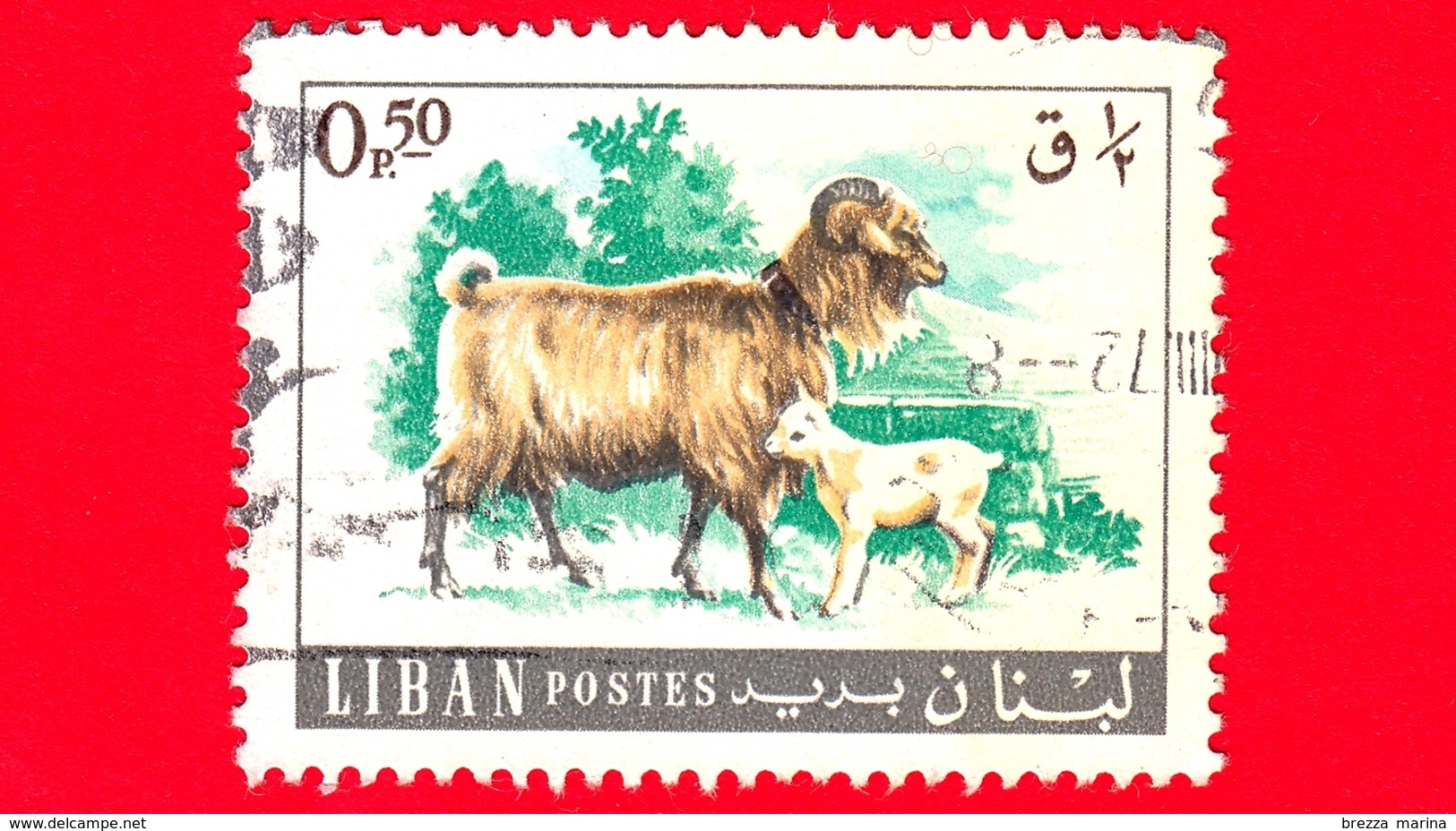 LIBANO - Usato - 1968 - Animali (Fauna) - Capre - Goat (Capra Aegagrus Hircus) - 0.50 - Libano