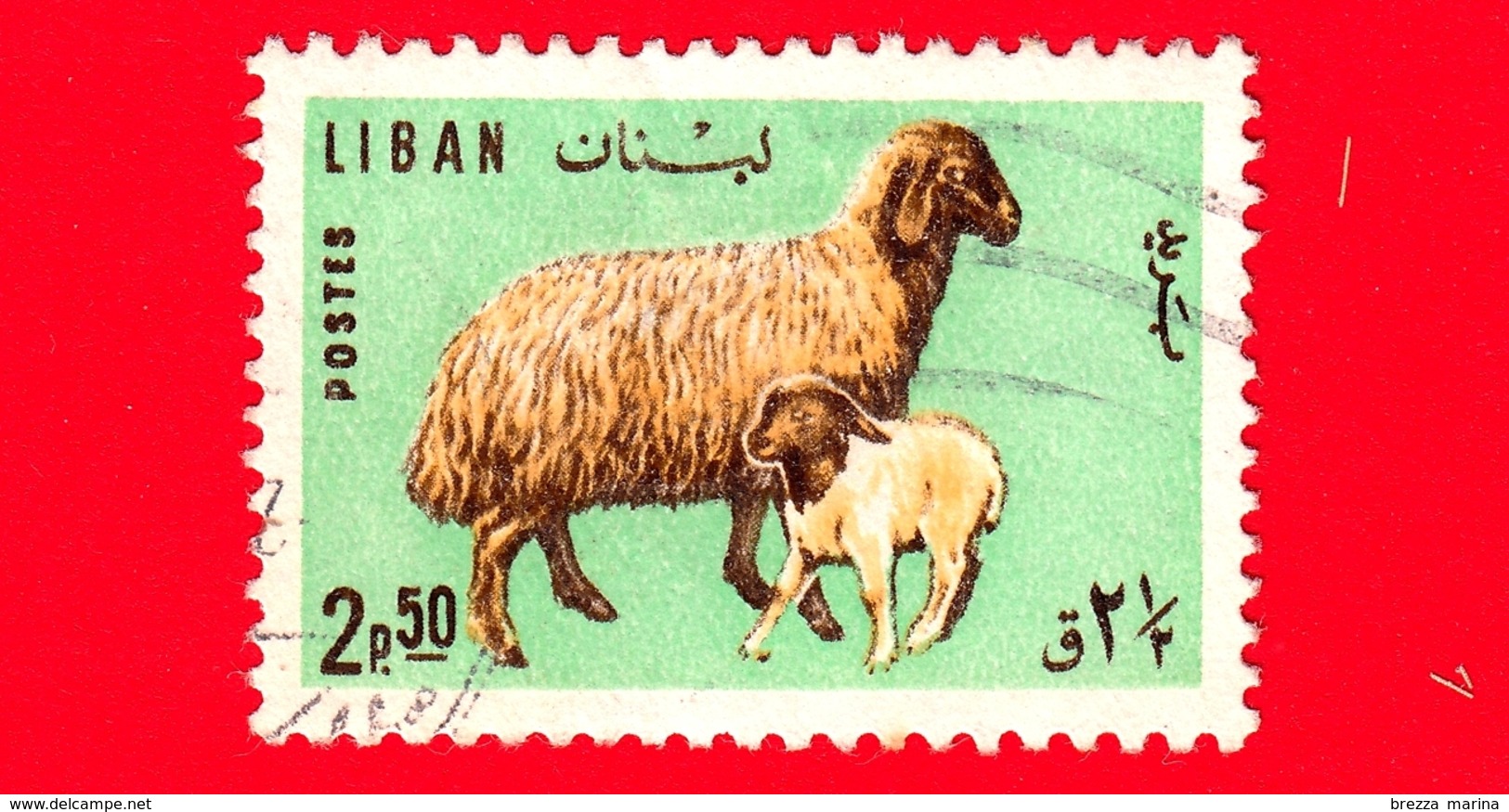 LIBANO - Usato - 1965 - Animali Domestici - Pecora Con Agnello - Ovis Ammon Aries - 2.50 - Libano