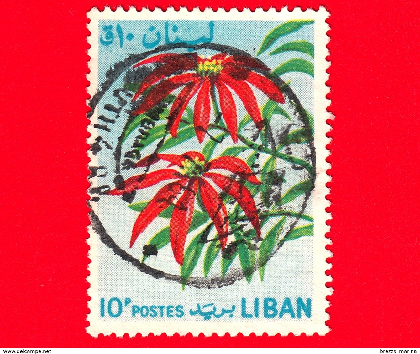 LIBANO- Libanon - Usato - 1964 - Fiori - Stella Di Natale - Poinsettia - Euphorbia Pulcherrima - 10 - Libano