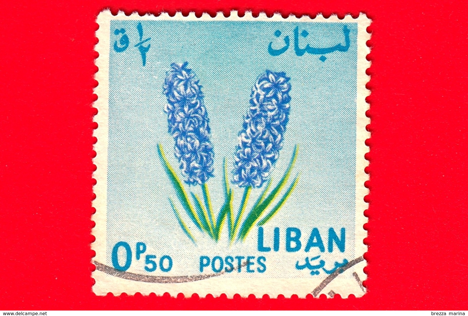 LIBANO- Libanon - Usato - 1964 - Fiori - Giacinto - Hyacinth - 0.50 - Lebanon