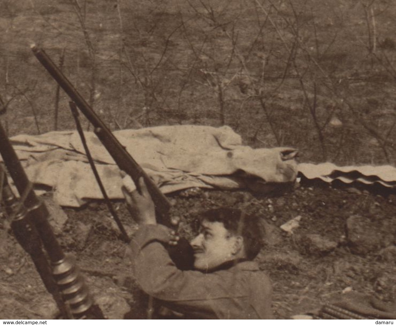 Photo Guerre 1914 1918  Défense Anti Aerienne Fusil A Identifier Chasse ??  1915 - 1914-18