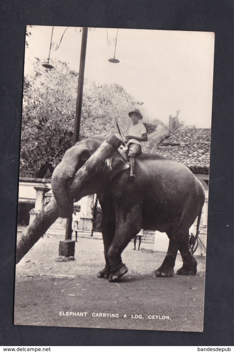 Sri Lanka Ceylon Elephant Carrying A Log ( Porte Un Tronc D'arbre ) - Sri Lanka (Ceylon)