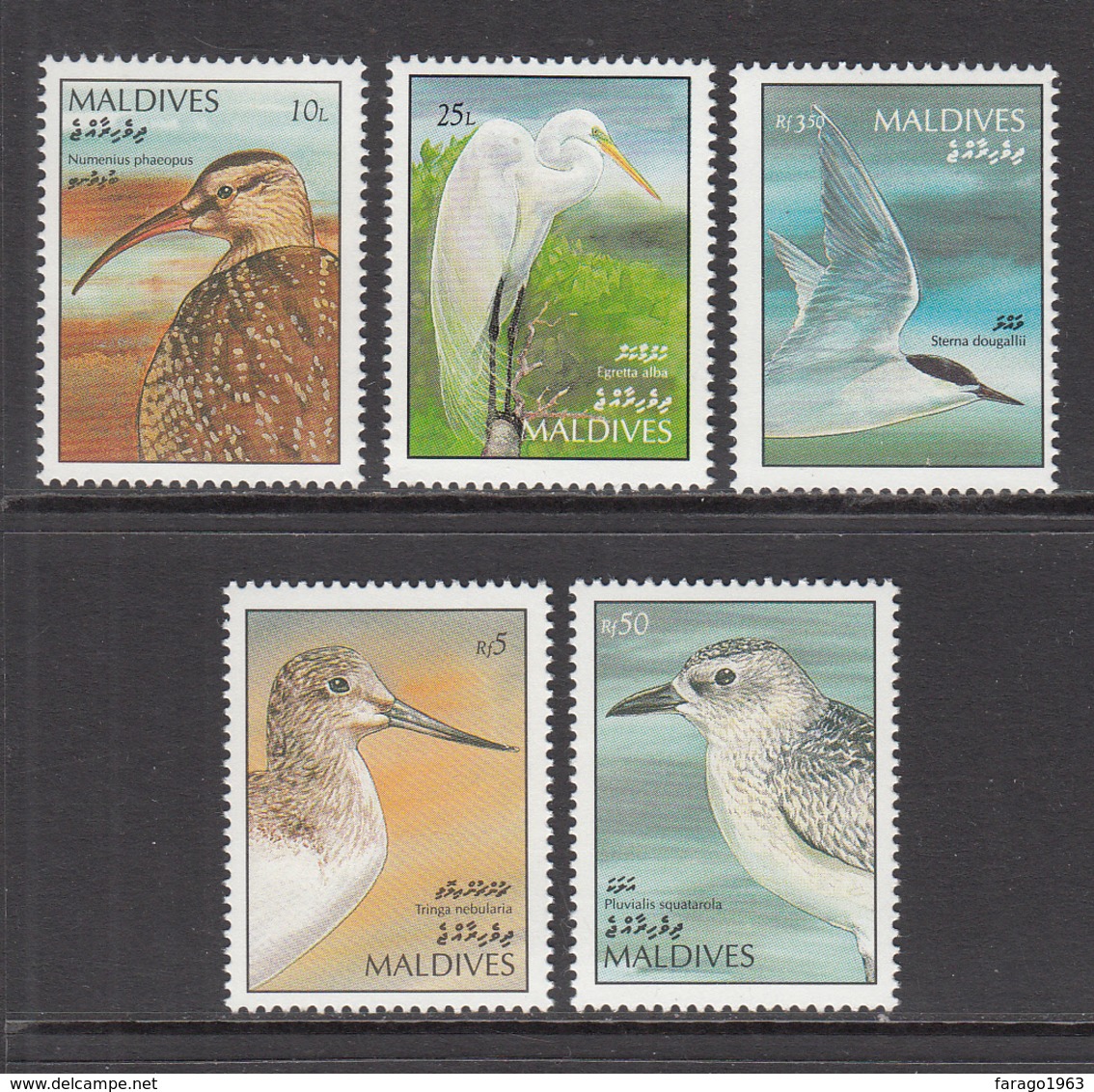 1992 Maldives Birds Definitives Issue One Set Of 5 Including High Value 50 Rupees  MNH - Maldives (1965-...)