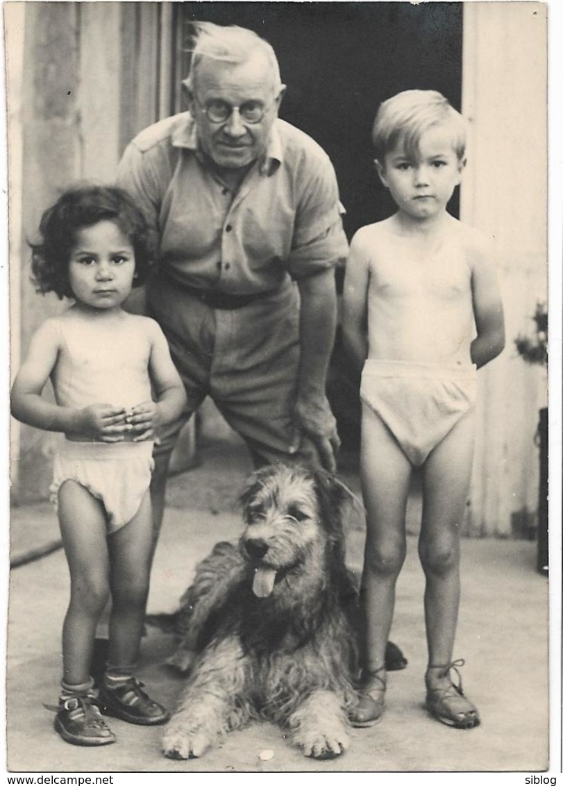 PHOTO - Grand Père Avec Ses Petits Enfants Et Le Chien  - Ft 13 X 9 Cm (Service Photo Dauphiné Libéré D'Avignon) - Personnes Anonymes