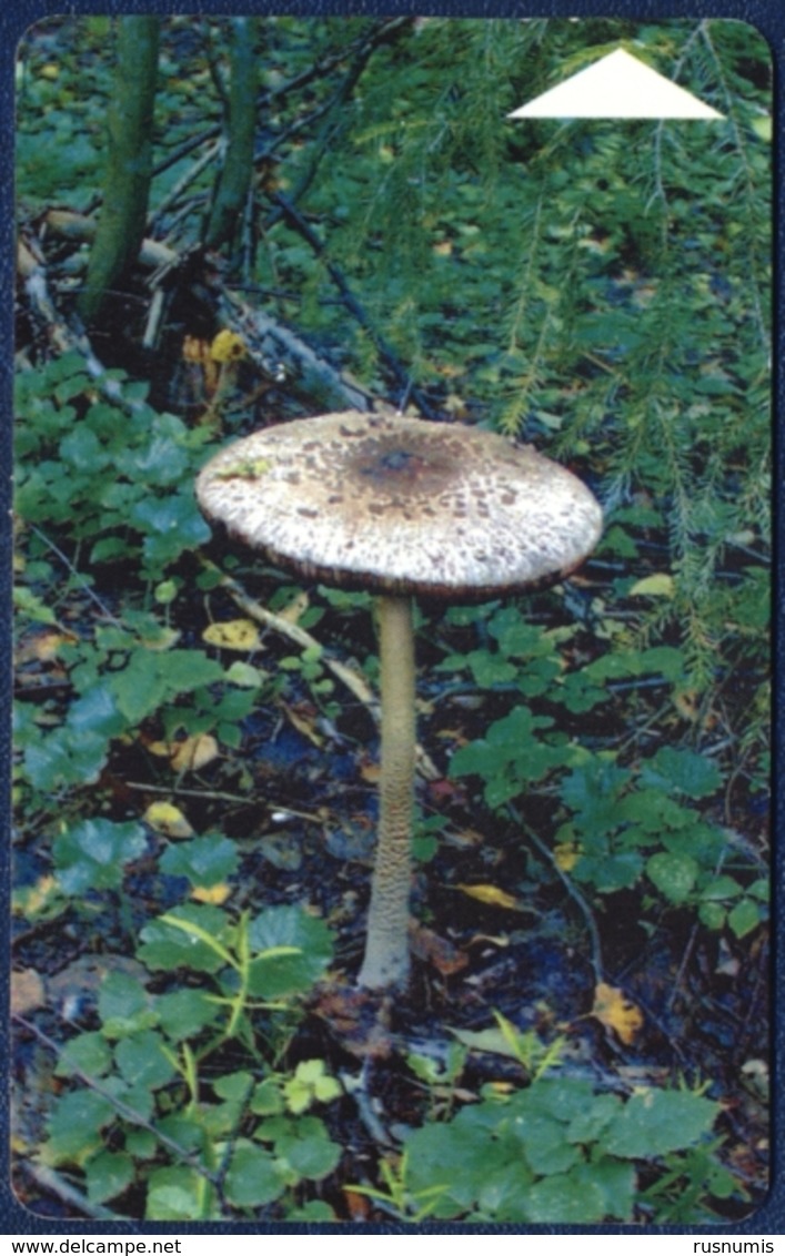 BELARUS - Weißrussland - Biélorussie 180 UNITS CHIP PHONECARD TELECARTE MUSHROOM "UMBRELLA" (LEPIOTA) GOOD - Belarus