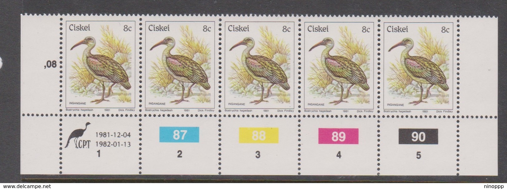 South Africa-Ciskei Scott R12 1981 Birds,8c Bostrychia Hagedash Dated 1982,Strip 5,mint Never Hinged - Used Stamps