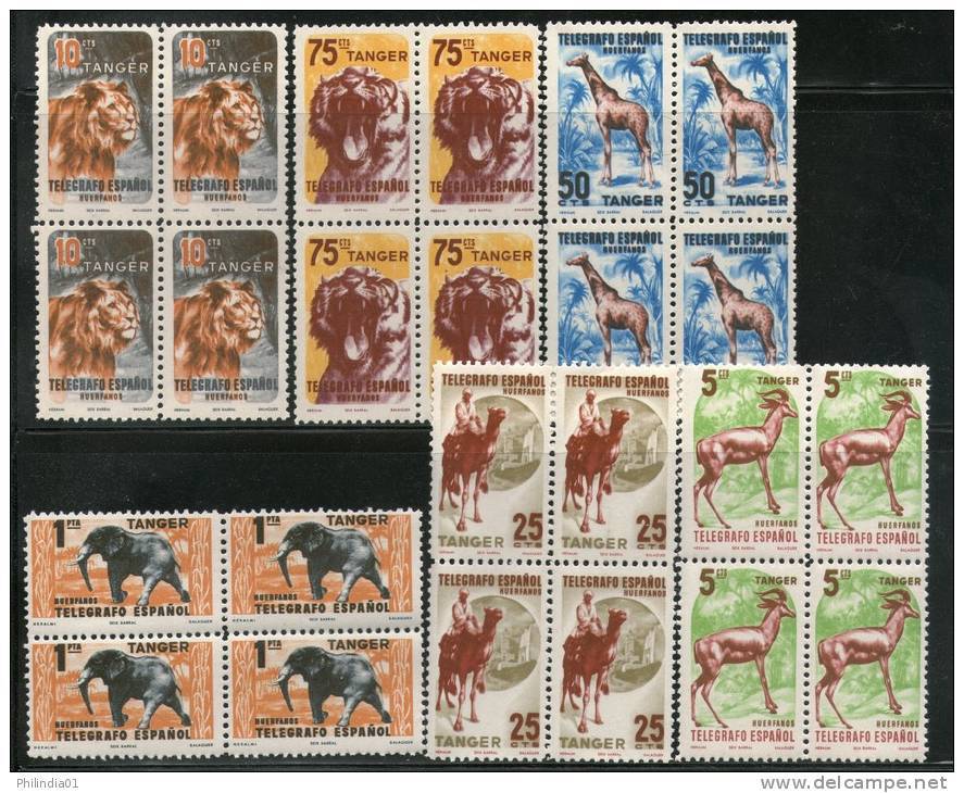 Spain Espana Lion Tiger Giraff Elephant Antelope Wild Life Animal Telegraph Tanger Telegrafo Fiscal BLK/4 MNH # 3038b - Télégraphe