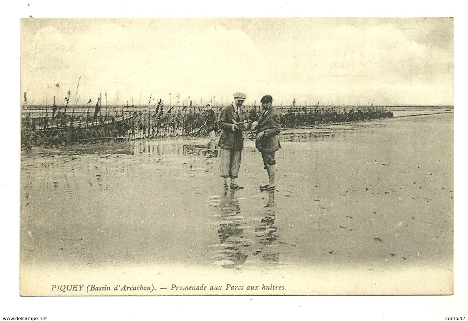 33 PIQUEY PROMENADE AUX PARCS AUX HUITRES BASSIN ARCACHON GIRONDE - Otros & Sin Clasificación