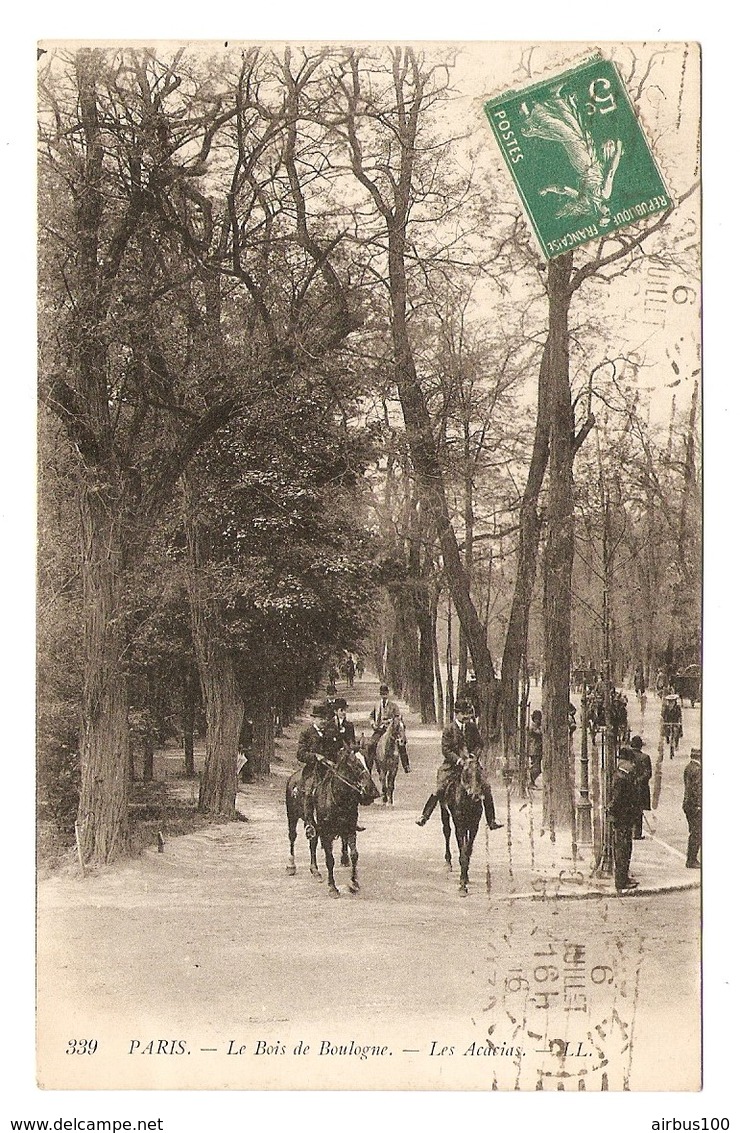 75 - PARIS LE BOIS DE BOULOGNE LES ACACIAS - CAVALIERS - N° 339 - Other & Unclassified