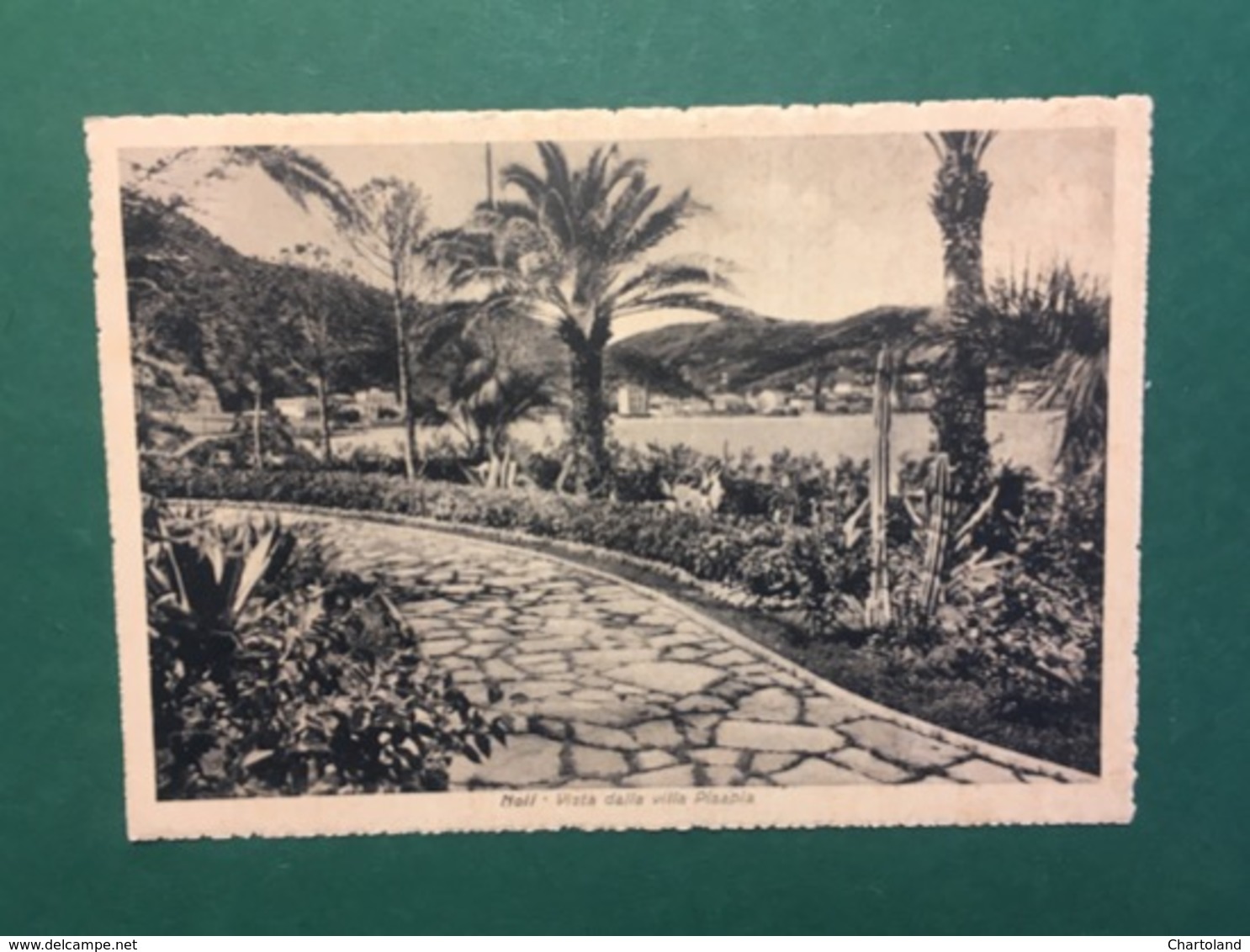 Cartolina Noli - Vista Dalla Villa Pisapia - 1938 - Altri & Non Classificati