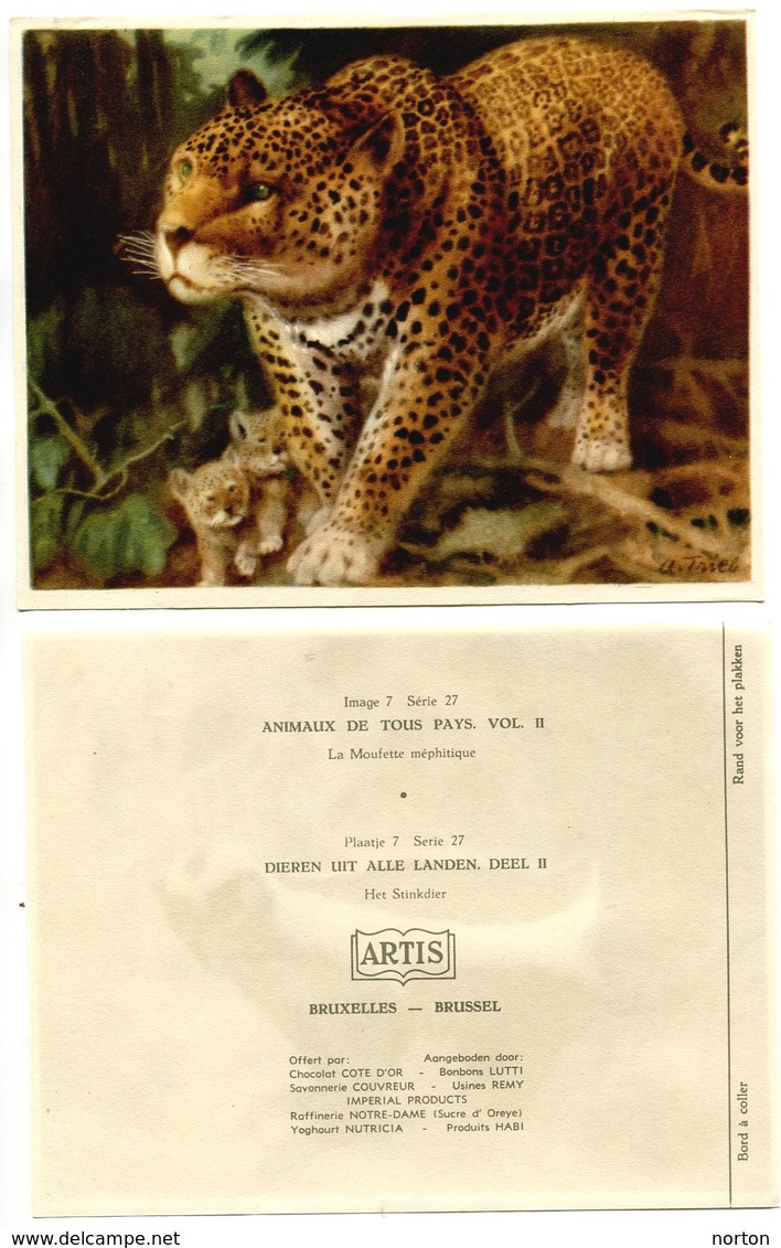 Artis Lot De 35 Chromos Animaux De Tous Pays ( Voir Liste ) - Artis Historia