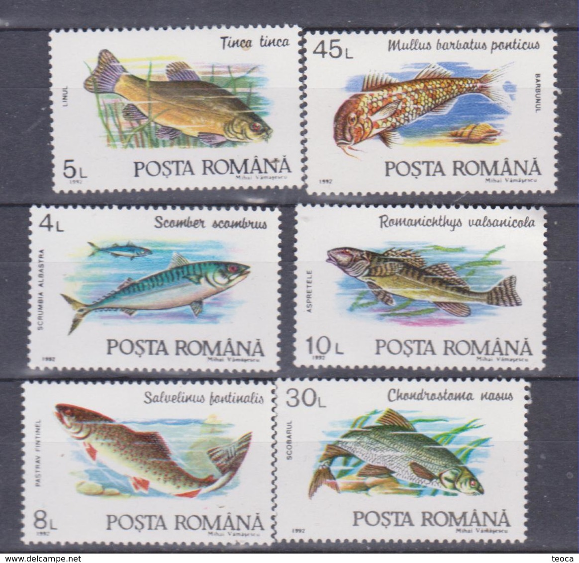 FISHES ROMANIA 1992, MI 4776-81, SET 6V. MNH - Peces