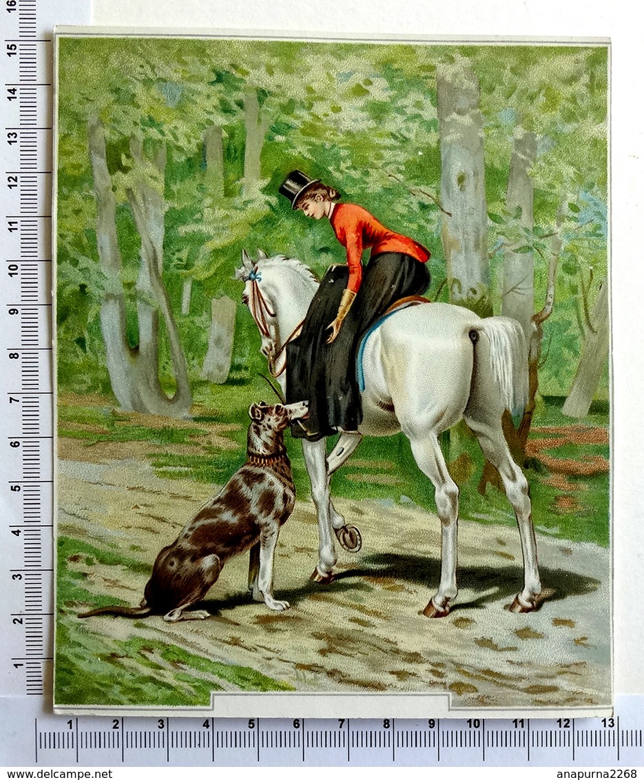 CHROMO LITHOGRAPHIE ....GRAND FORMAT ... CHEVAL ...ECUYERE AMAZONE...CHIEN DE CHASSE  QUI RAPPORTE SA CRAVACHE - Autres & Non Classés