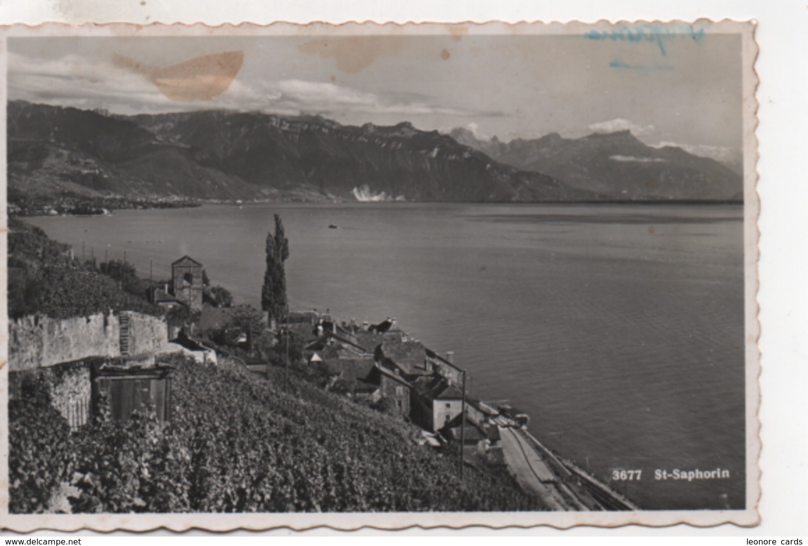 CPA.Suisse.St Saphorin.1948. - Saint-Saphorin