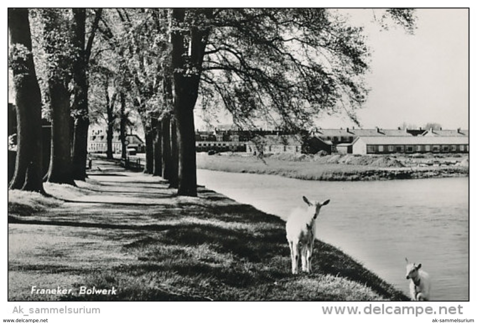 Franeker (D-A07/3) - Franeker