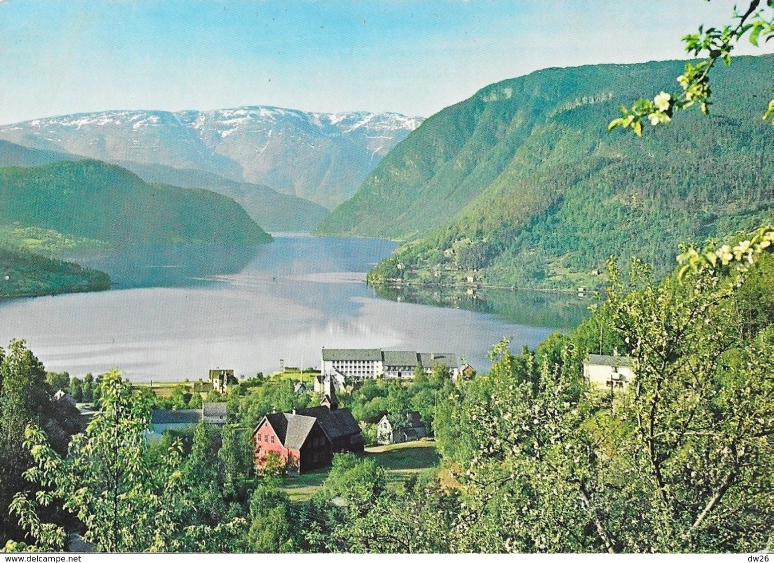 Norway (Norvège) - Ulvik-Hardanger Fjord - Carte Non Circulée - Norway