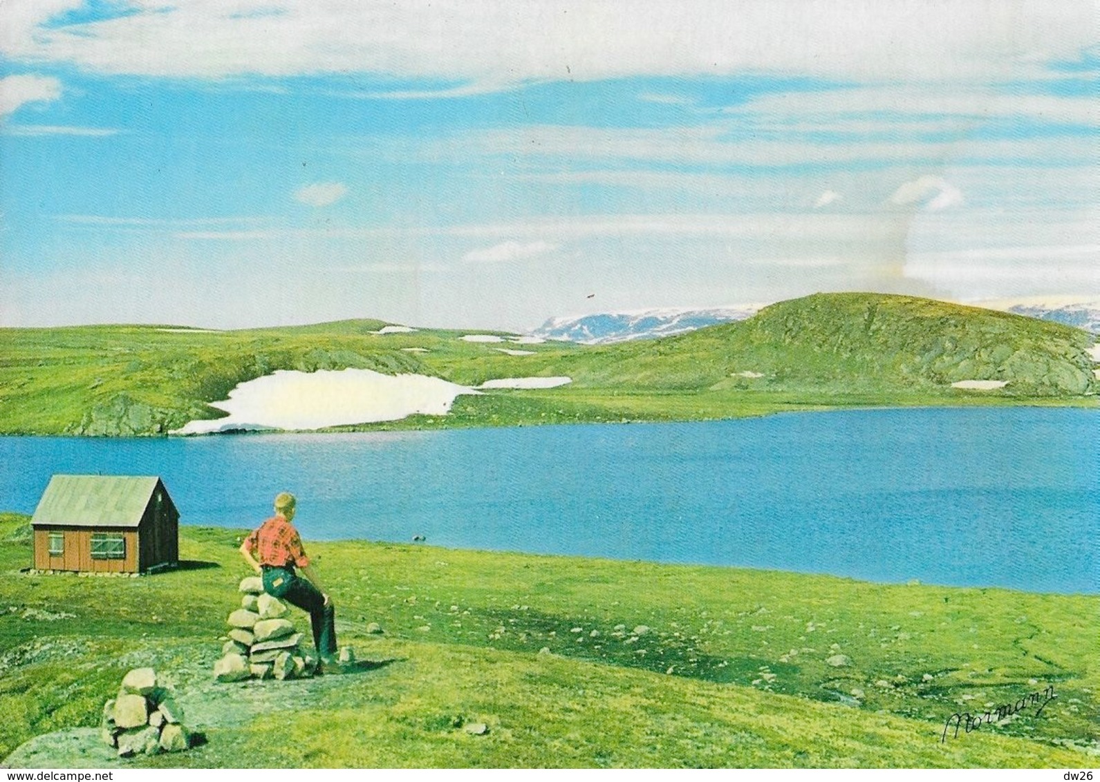 Norway (Norge, Norvège) - Hardangervidda Mot Hardangerjokulen (glacier) - Carte Non Circulée - Norwegen