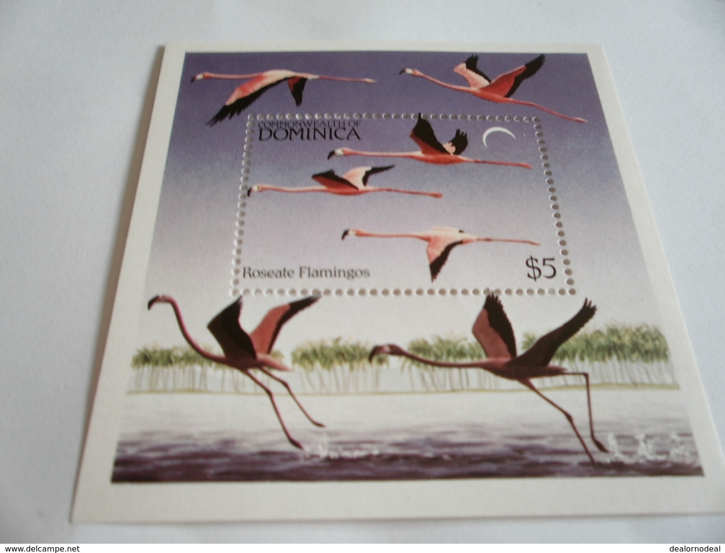 Miniature Sheet Perf Roseate Flamingos - Dominica (1978-...)