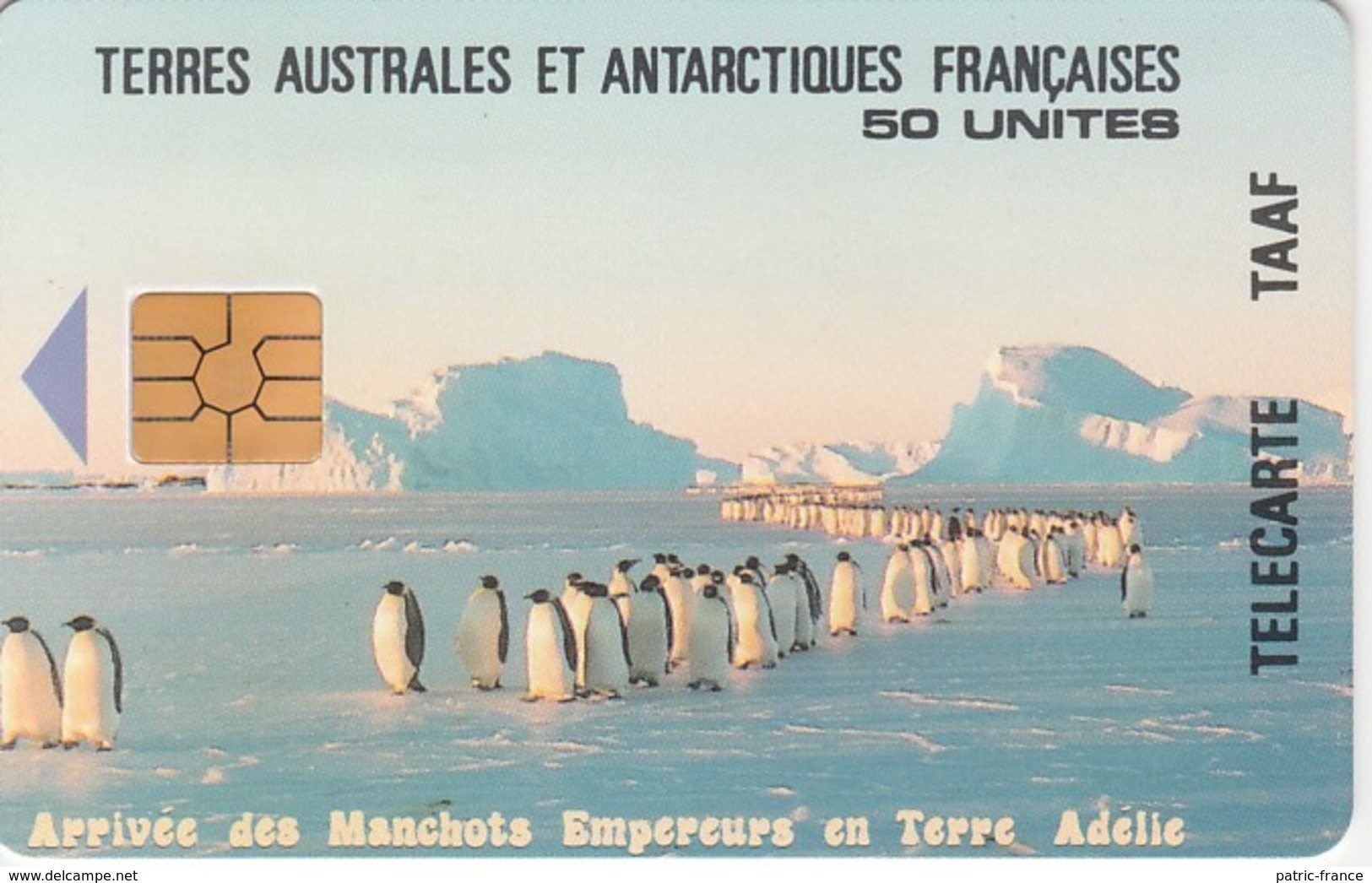 Télécarte TAAF FSAT - Manchots Empereurs ... Pingouin Penguin Pinguin ... - TAAF - Terres Australes Antarctiques Françaises