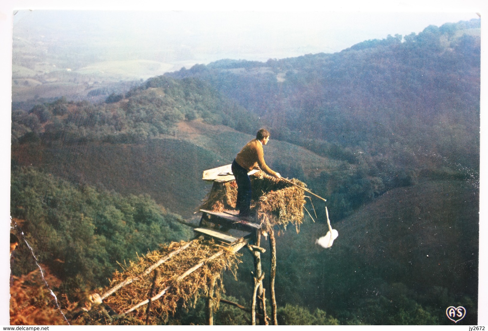 Poste De Guet Chasse à La Palombe - Sare