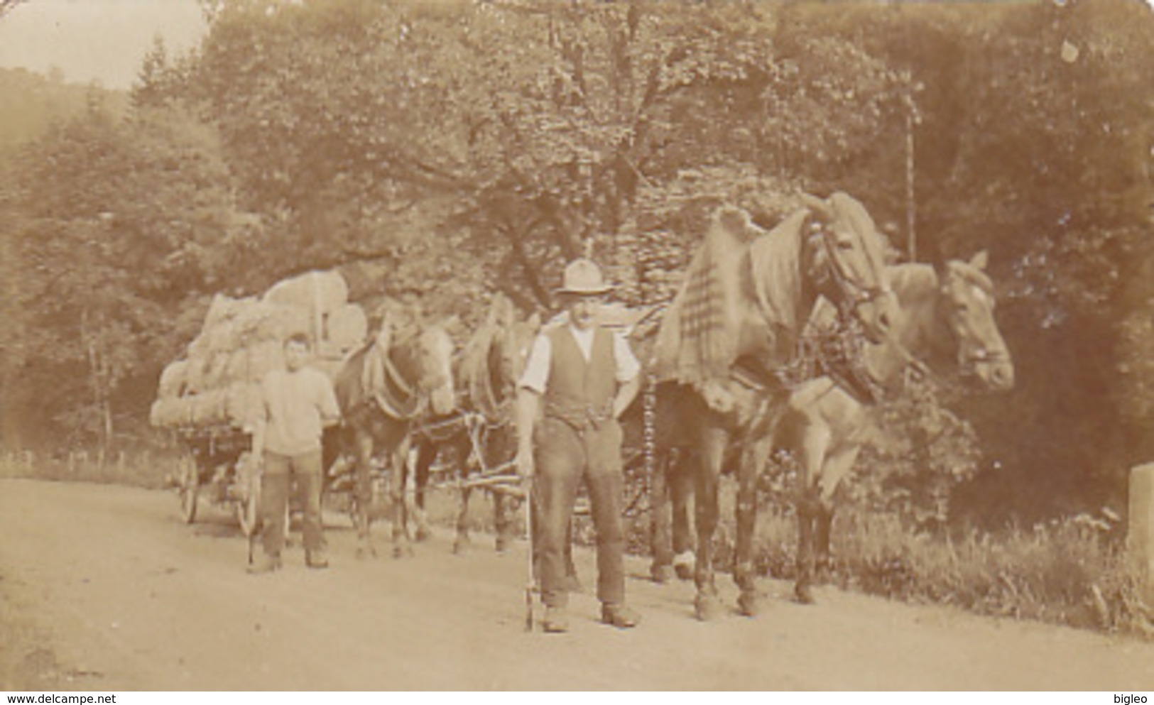 Holztransport - Schöne Fotokarte       (A-72-170710) - Wagengespanne