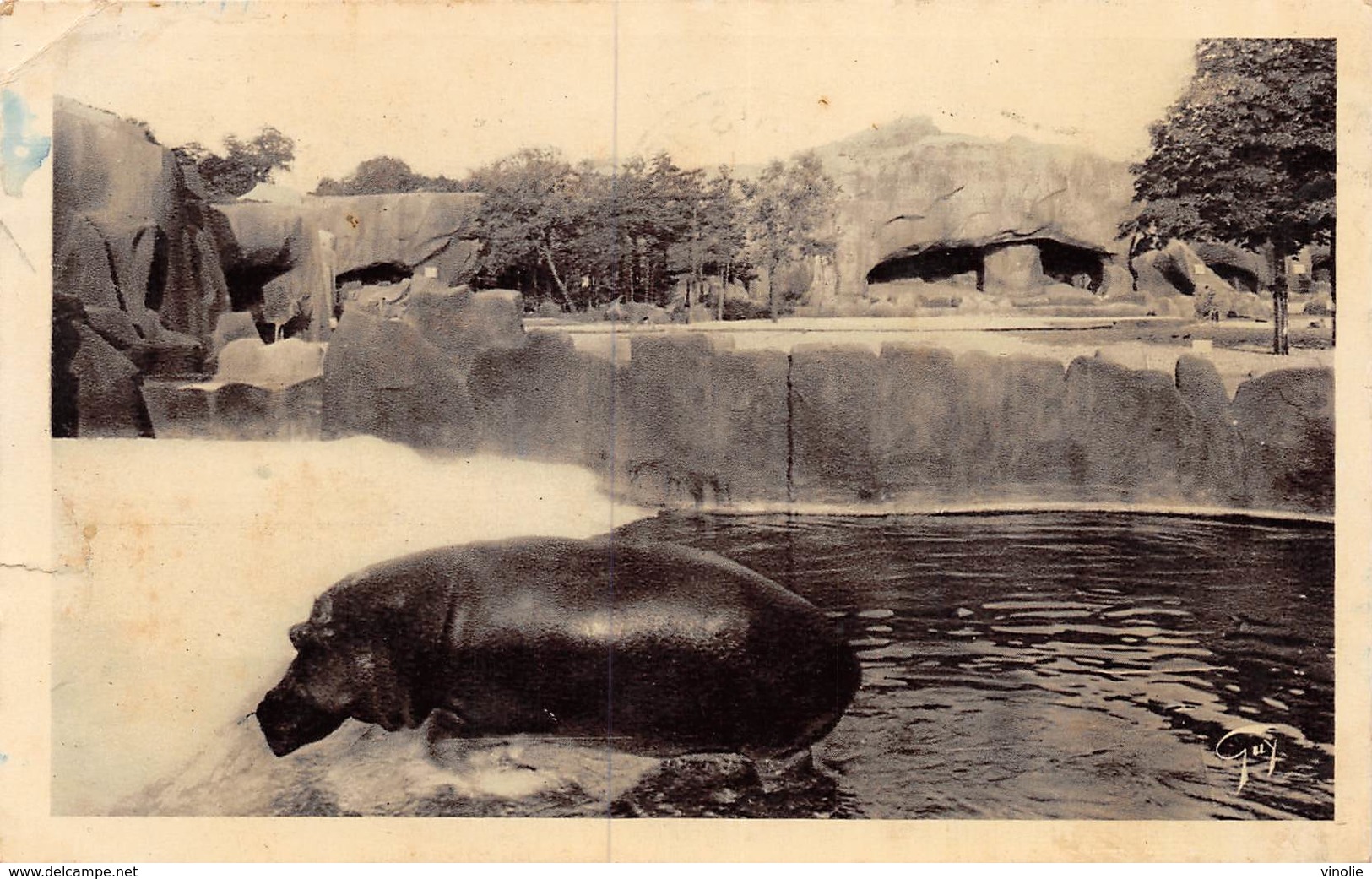 PIE.LOT CH-19-4748 : HIPPOPOTAME ZOO DE VINCENNES. - Hippopotamuses