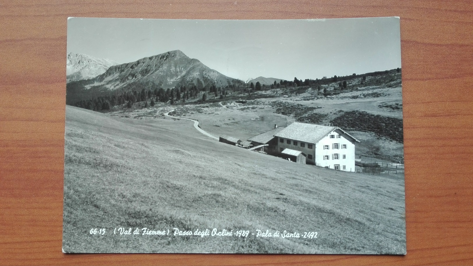 Passo Degli Oclini ( Val Di Fiemme ) - Pala Di Santa - Trento