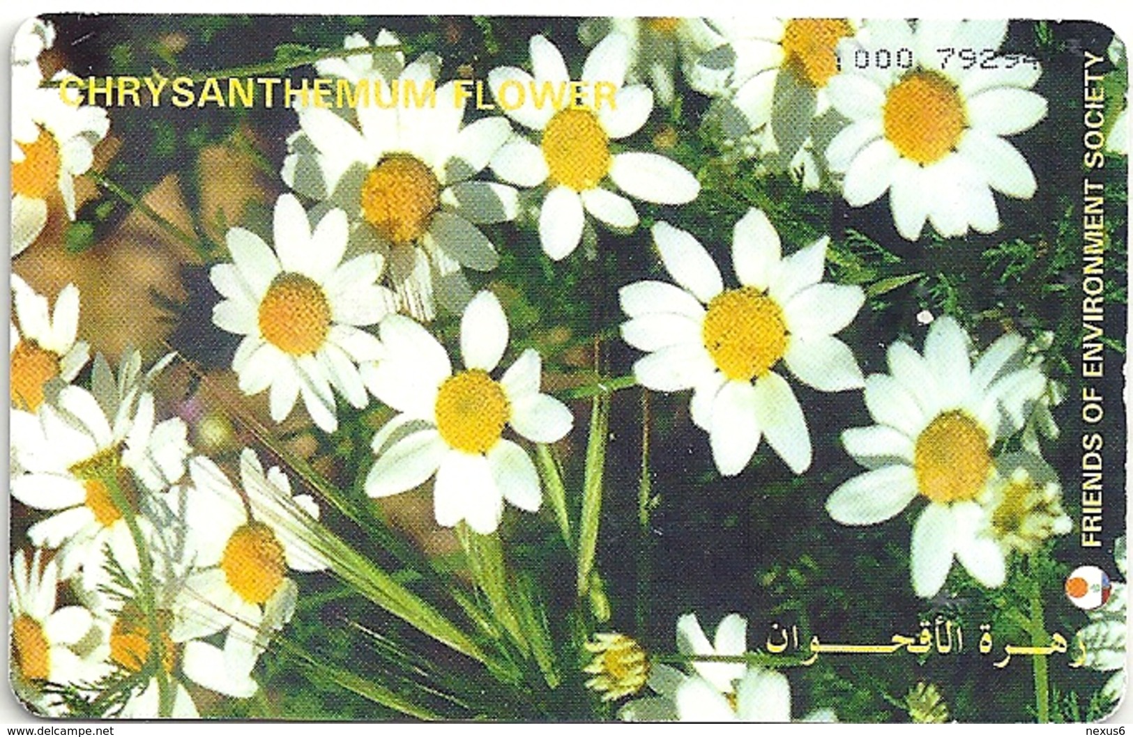 Jordan - Alo - Chrysanthemum Flower, 07.1998, 200.000ex, Used - Jordanie