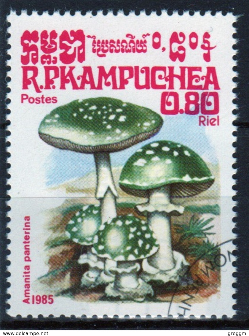 Kampuchea Single 80c Stamp From The 1985 Set Celebrating Fungi. - Kampuchea