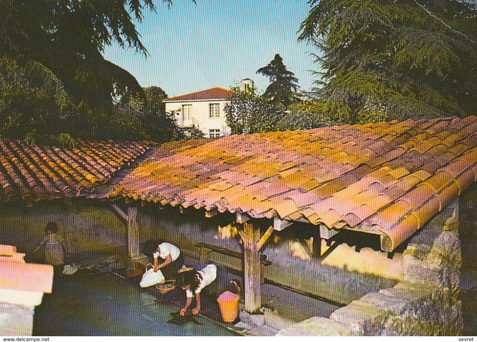 CERIZAY. - Le Lavoir Du St-Père.  Lavandières.  CPM - Cerizay