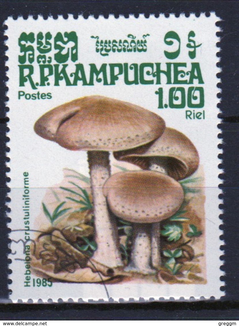 Kampuchea Single 1r00 Stamp From The 1985 Set Celebrating Fungi - Kampuchea