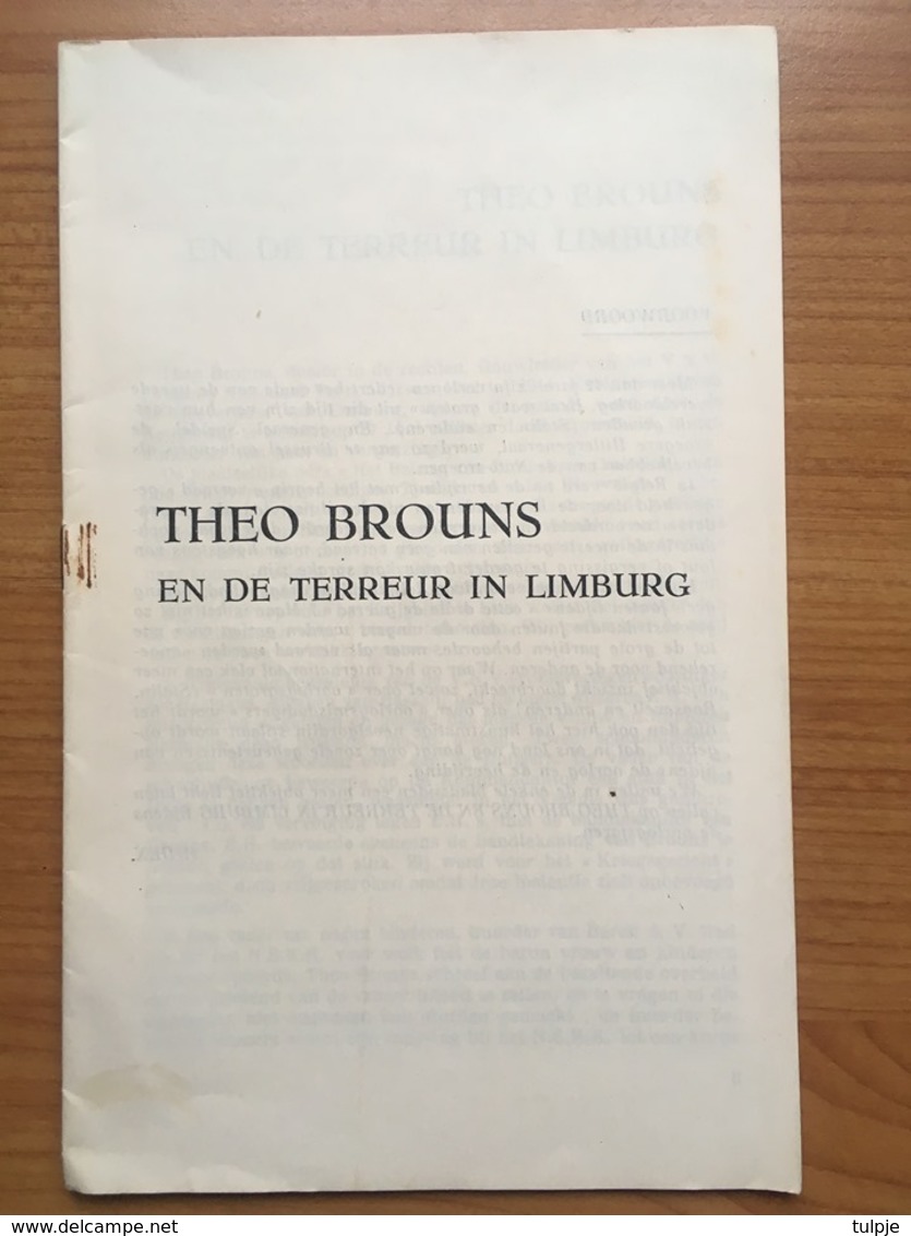 THEO BROUNS EN DE TERREUR IN LIMBURG / Zeldzaam - Histoire