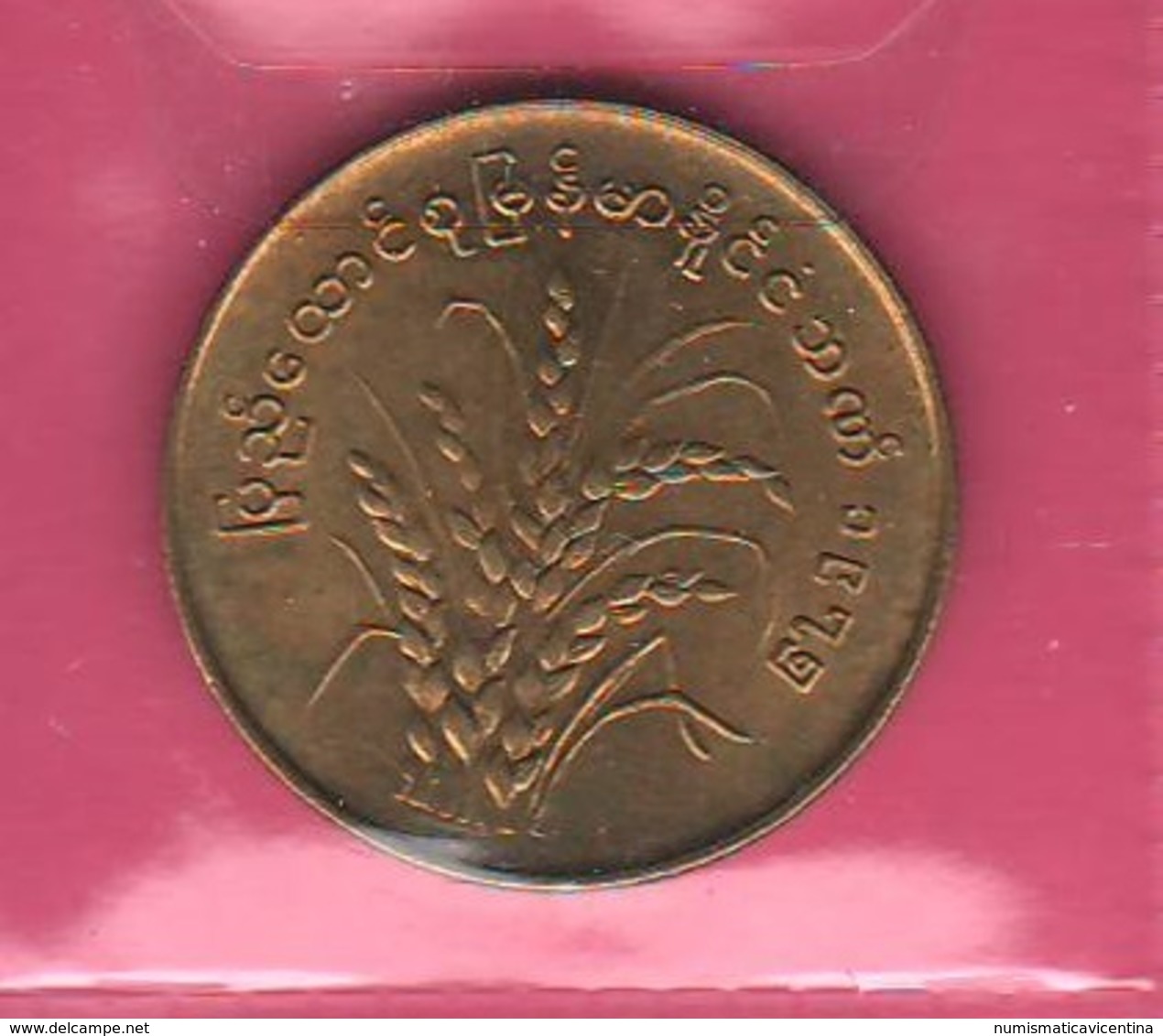 50 Pyas 1975 FAO Myanmar Burma - Sonstige – Asien