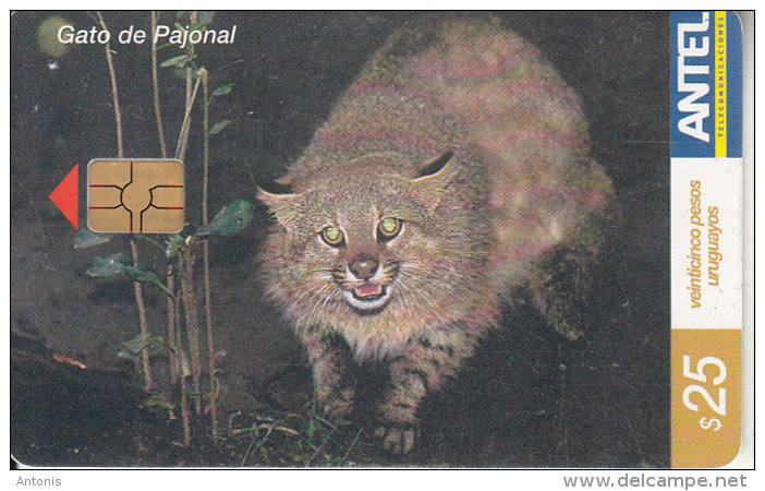 URUGUAY - Wild Cat, Gato De Pajonal(273a), 03/03, Used - Uruguay