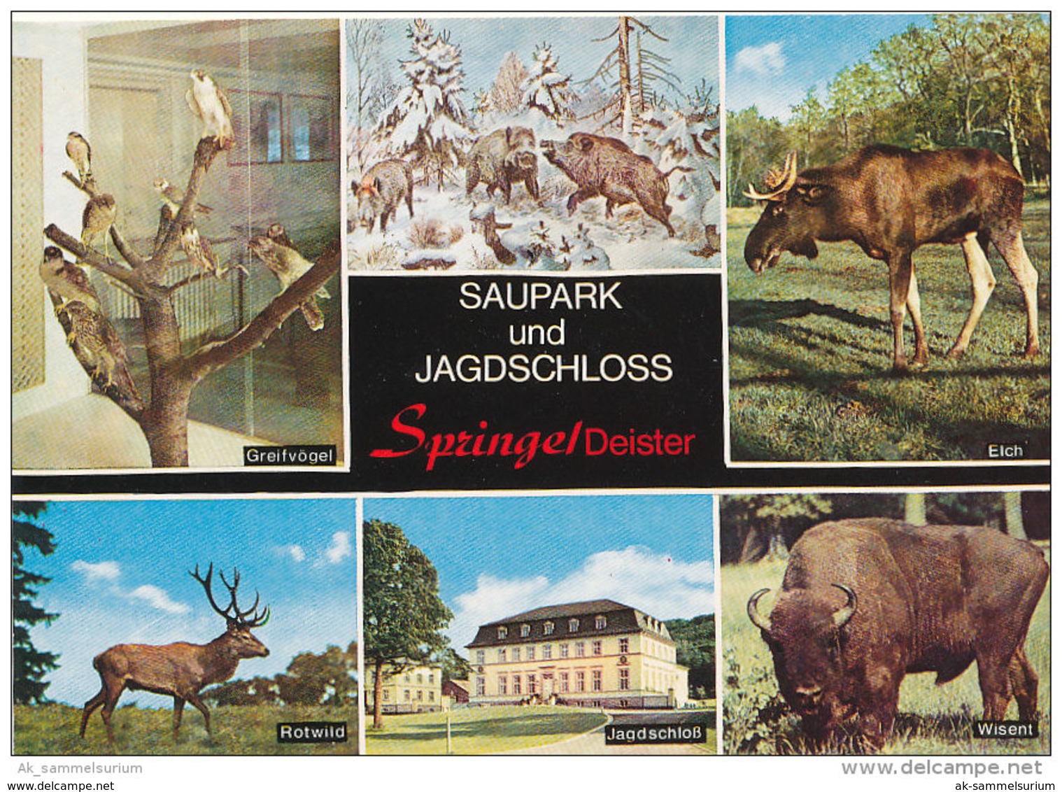 Springe / Jageschloss / Jagd / Saupark / Wisent / Elch / Hirsch / Hunting (D-A199) - Springe