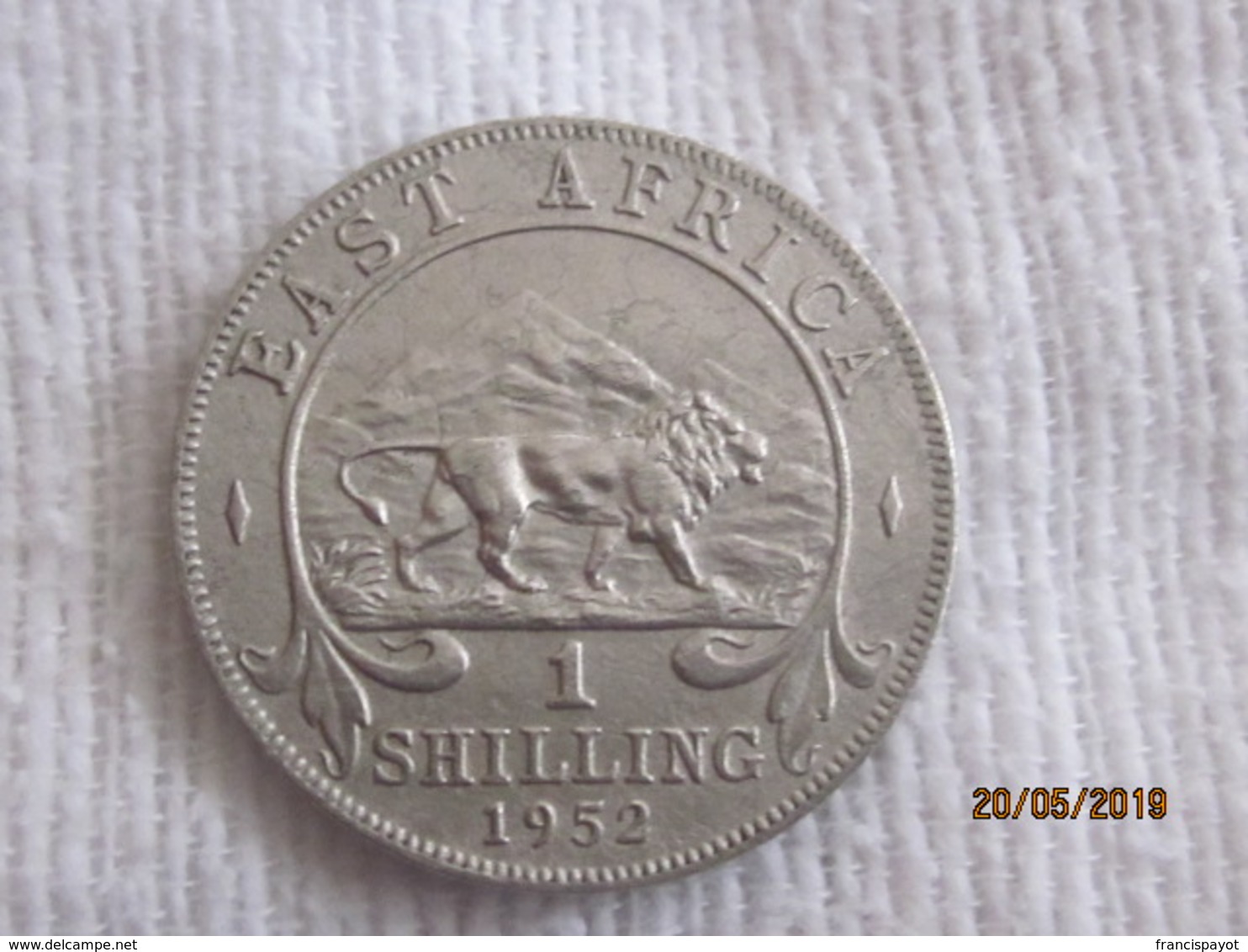 East Africa: 1 Shilling 1952 - Colonie Britannique