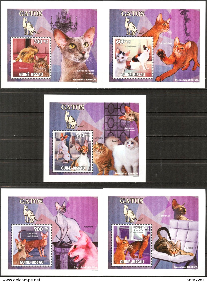 A{222} Guinea Bissau 2010 Cats 5 S/S Deluxe MNH** - Guinée-Bissau